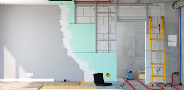 Professional Mold Removal in Copper Canyon, TX